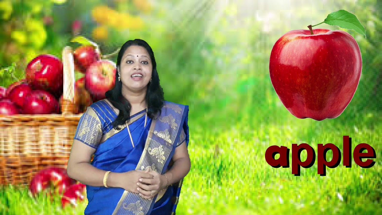 FRUITS/EVS/LKG/UKG