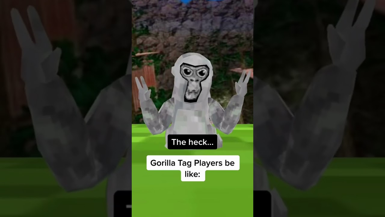 Watch out Gorilla Tag there's a New Monkey in Town 🐵