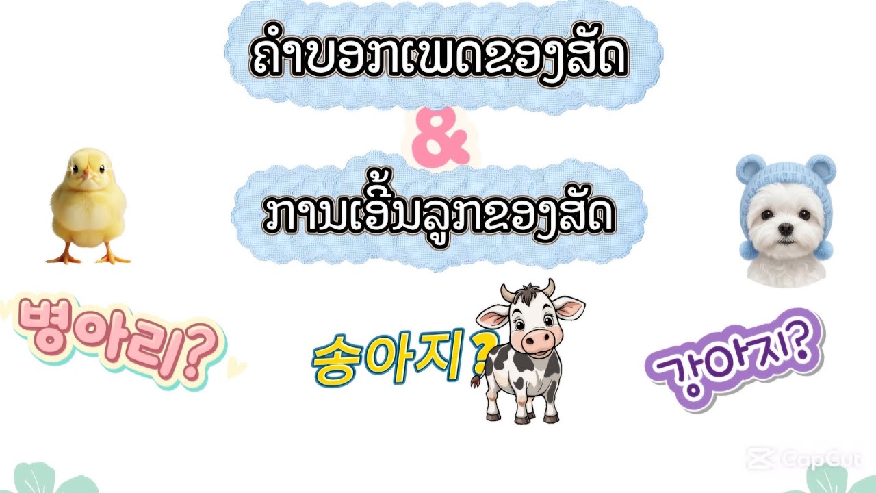 라오어 동물 표현 완전 정리! (수컷·암컷·새끼)
