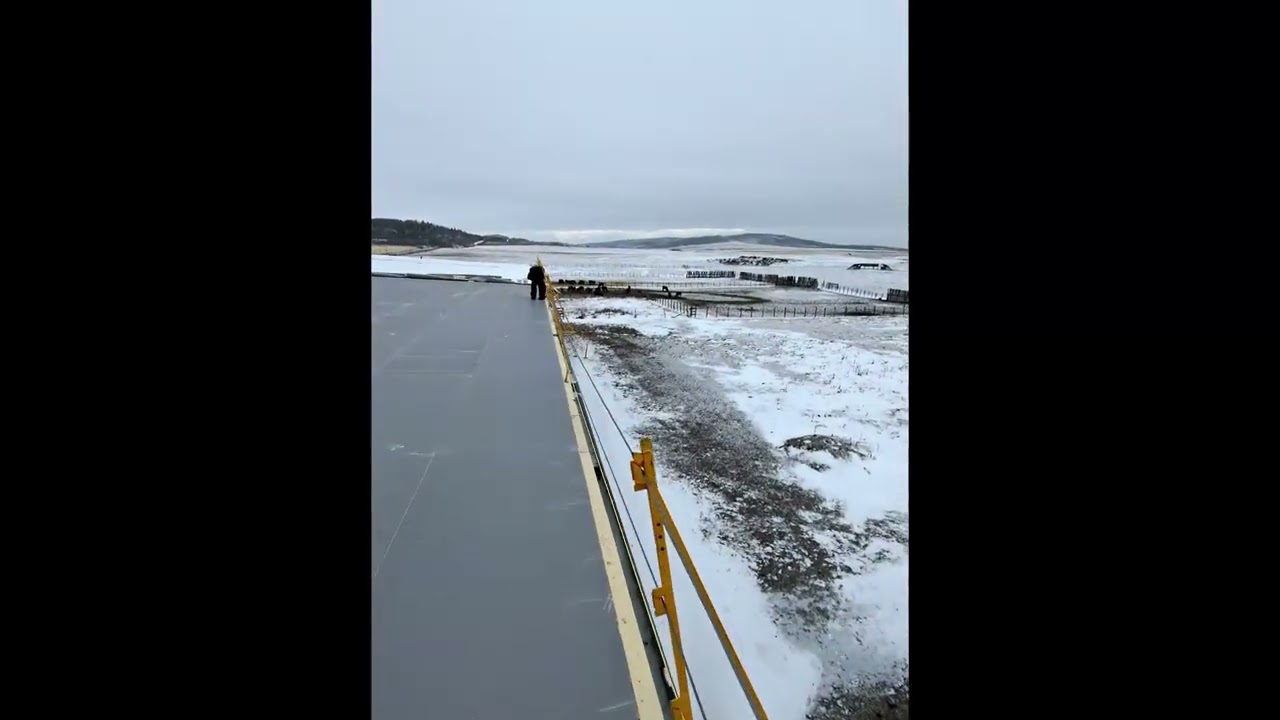 Roofing Ranch