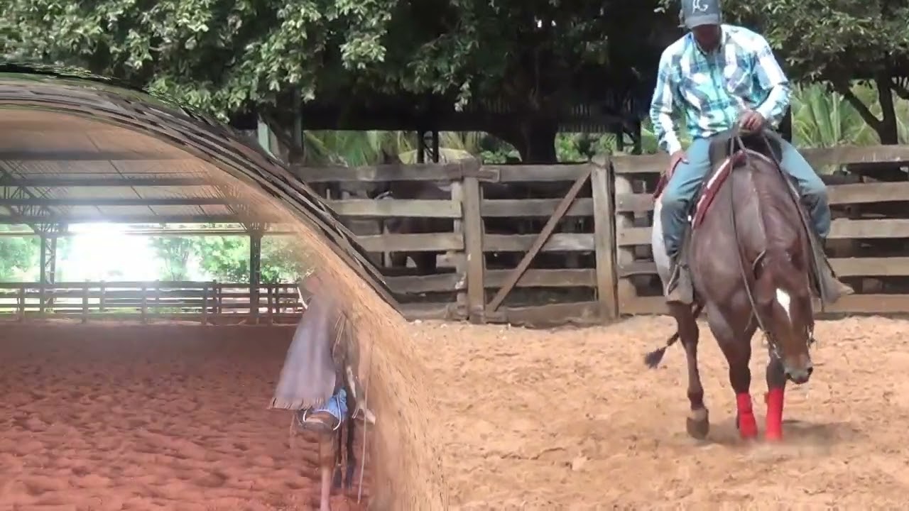 Aqui está o segredo para o seu cavalo trabalhar mais sentado!