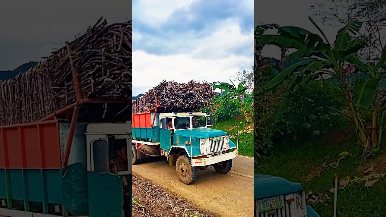 REO TRUCK, Infield Sugarcane Truck, NEGROS
