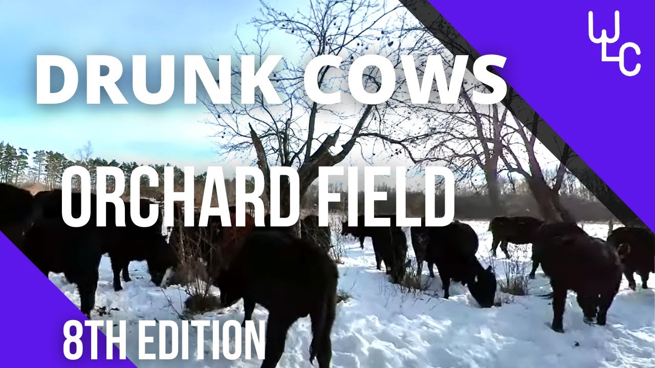 Grazing the orchard field. A little bit about what we have to offer on the farm.