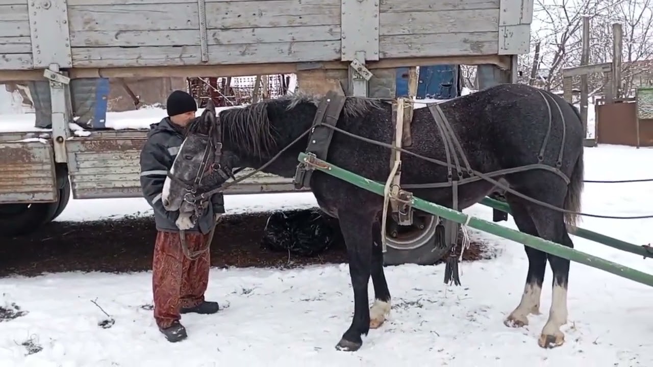 Космос, сани, снег.