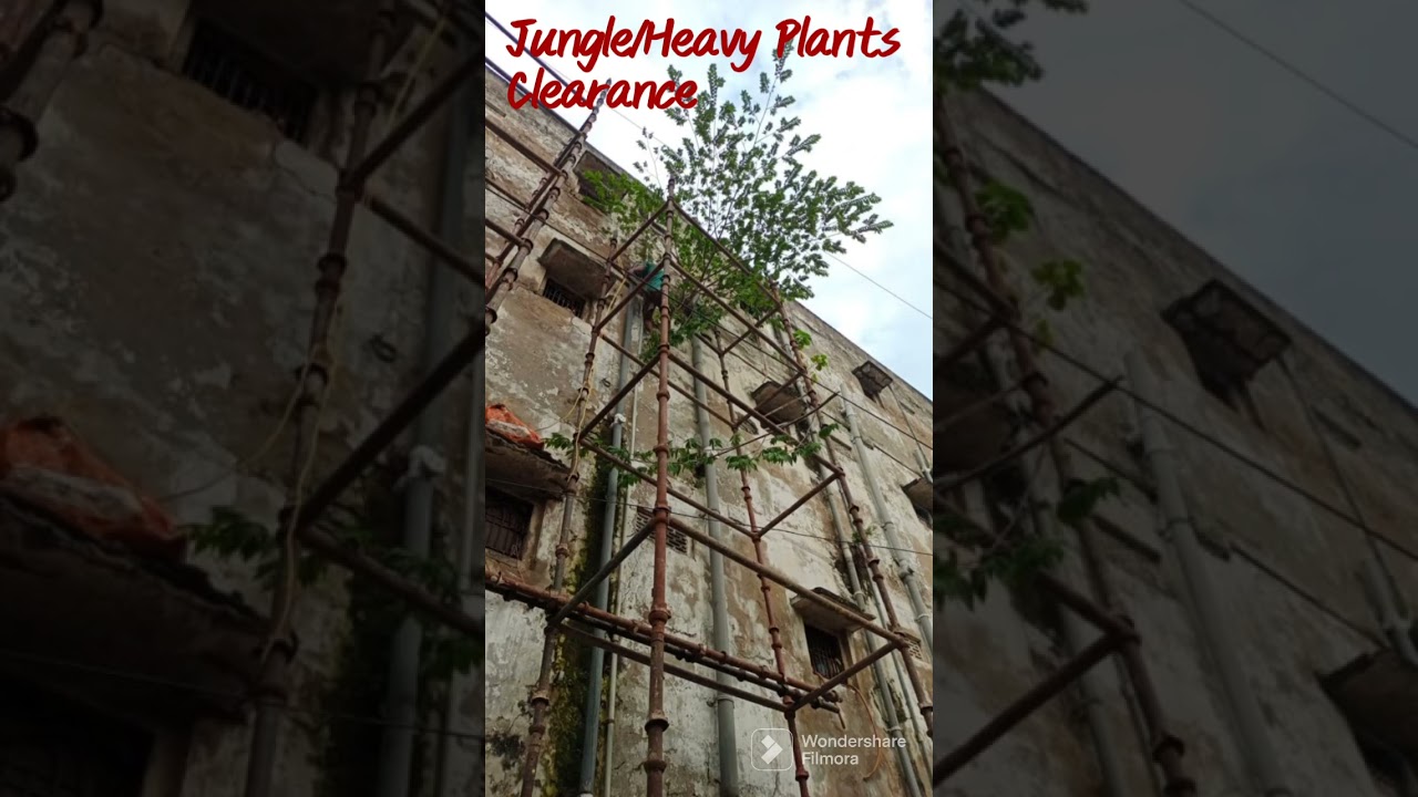 Documentary on Work at Ambadhkar Colony, Ward No51, GVMC
