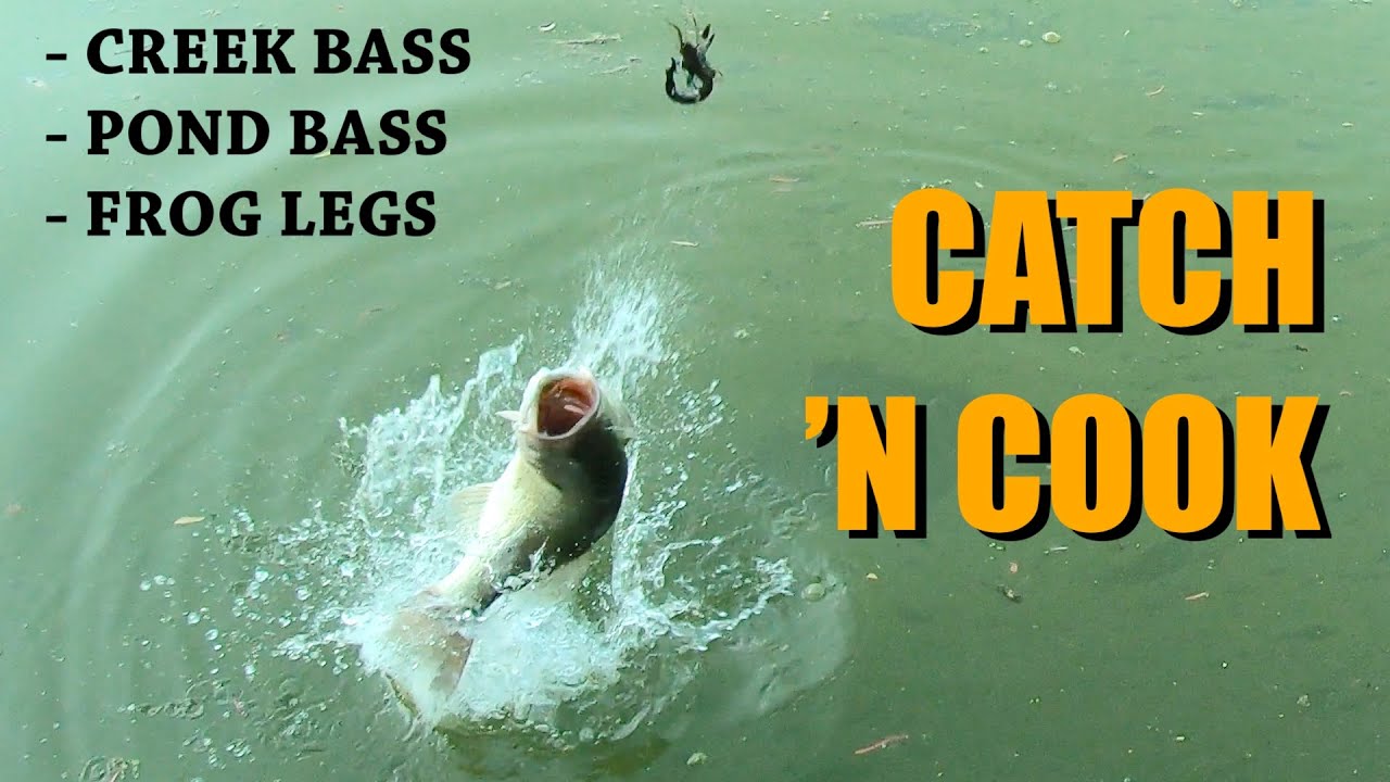 CREEK and POND Bass Catch n' Cook - with Frog Legs!