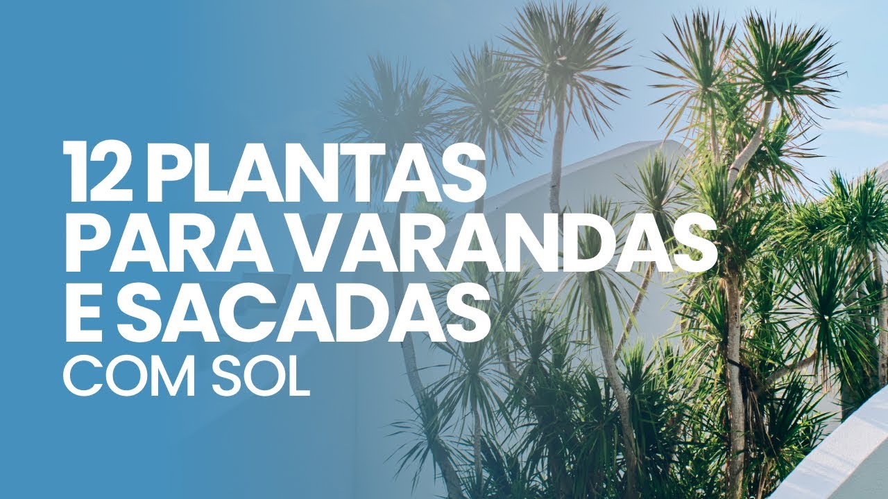 12 PLANTAS ornamentais para VARANDAS e SACADAS com SOL