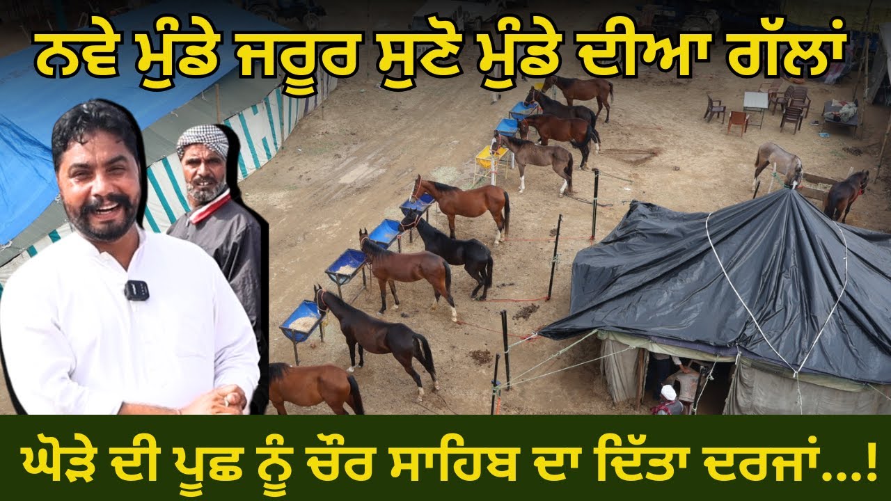 ਟੋਪ ਦੀ ਮਾਰਵਾੜੀ ਭਰਾ ਦਿੱਤੀ ਨੁਕਰੇ ਤੋ ਬਾਈ ਤੇਰਾ ਦਿਮਾਗ ਚ ਤਾਂ ਨਹੀਂ ਫਰਕ.. #horse #horselover #horseriding