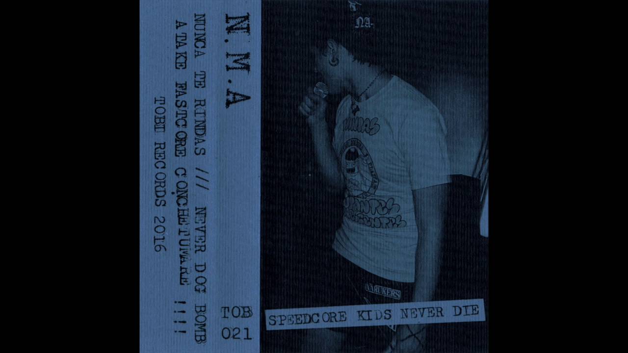 ninjas mutantes adolescentes  - speedcore kids never die