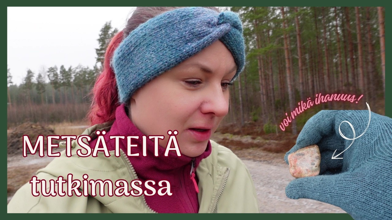Kiviretki#2 | Metsäteitä tutkimassa