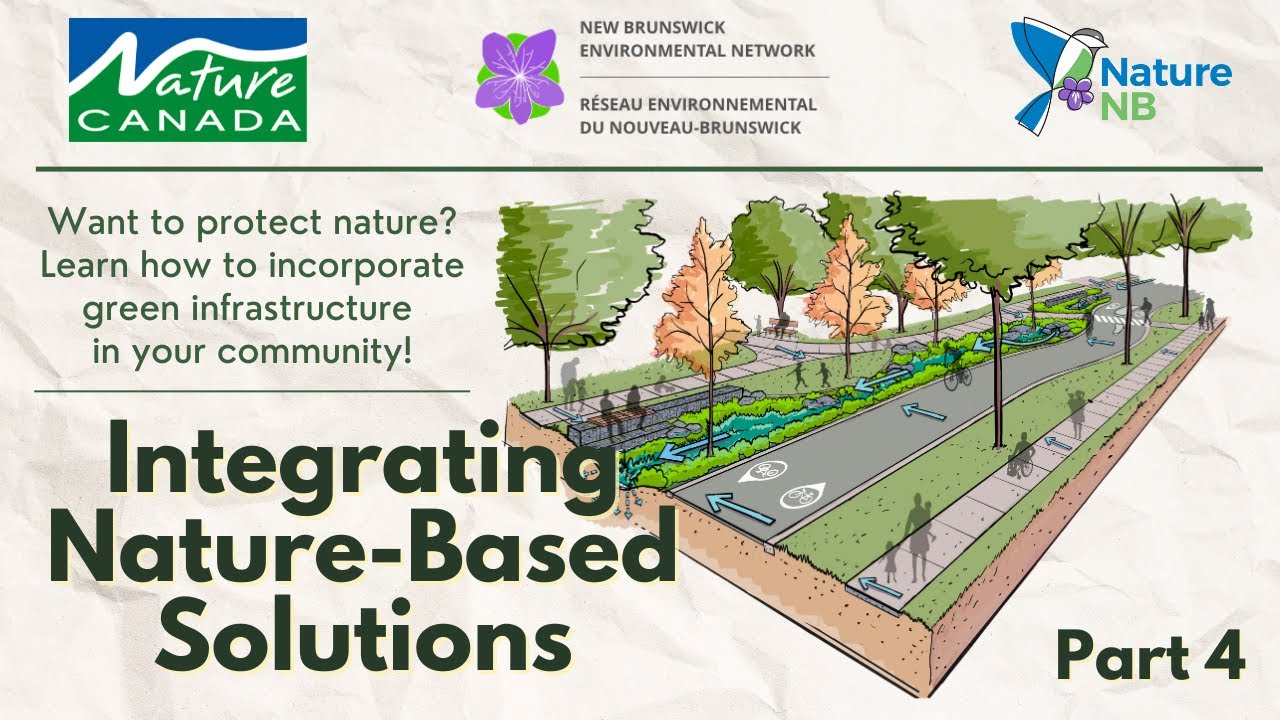 Incorporating Nature-Based Solutions Part 3