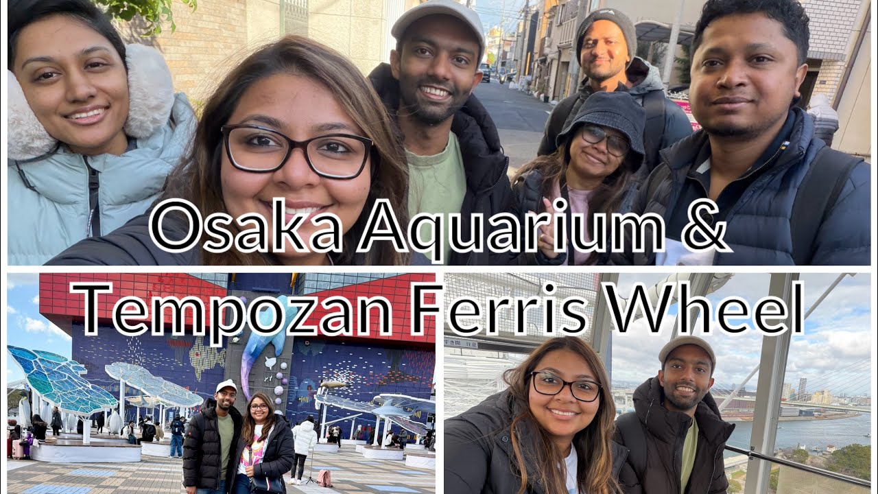 Osaka Kaiyukan Aquarium 🐳| Tempozan Ferris Wheel🎡 