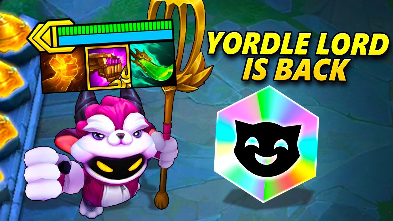 ⭐⭐⭐ Yordle Lord is Back…