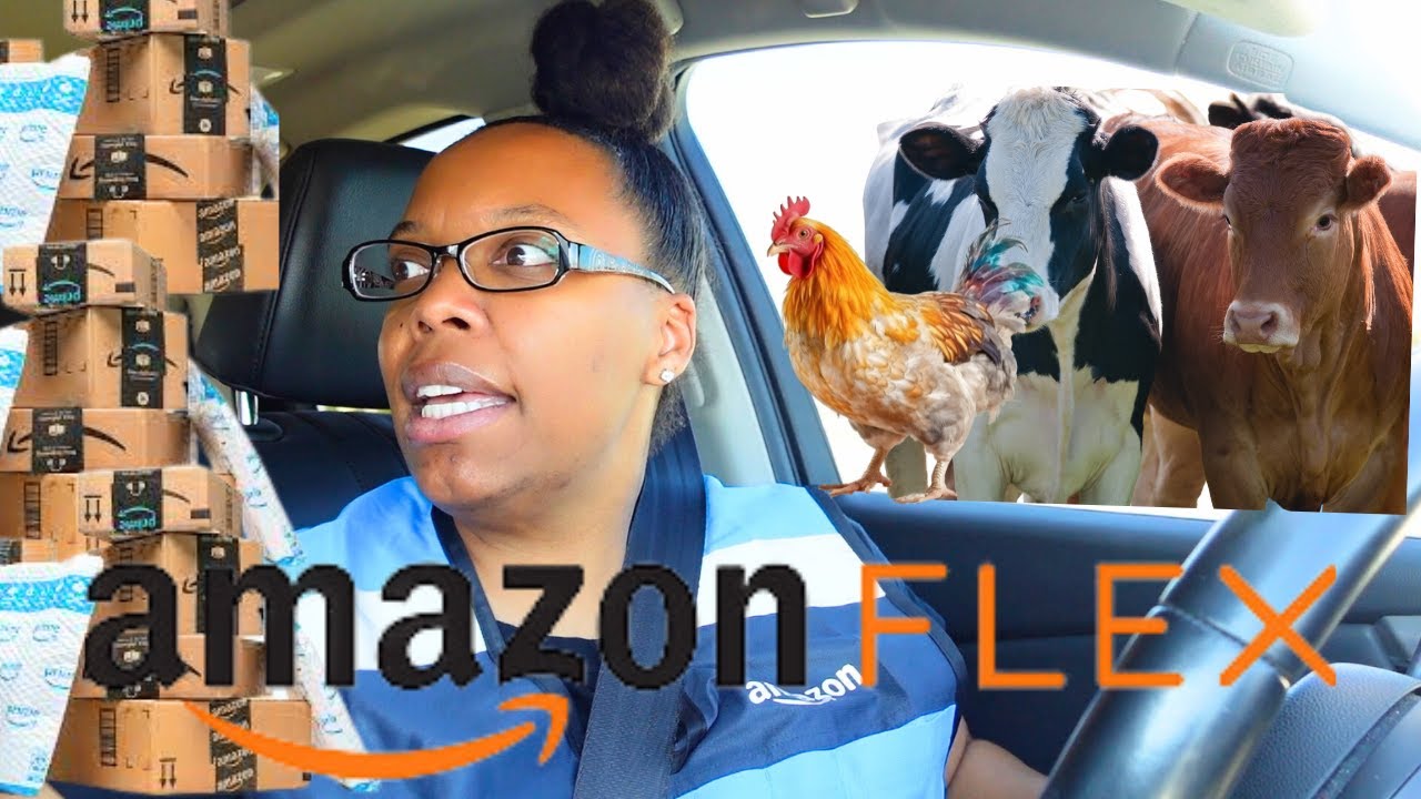 AMAZON FLEX | AFTERNOON DELIVERIES