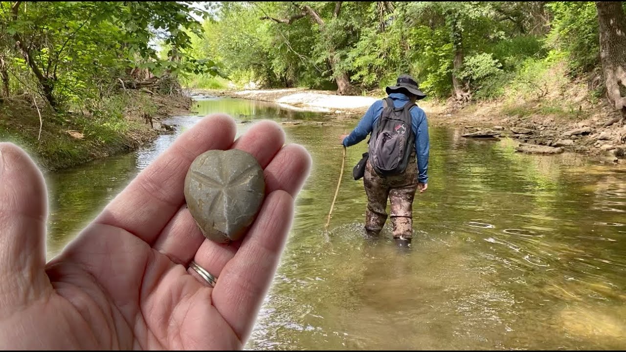 Creek Walking for Fossils - North Texas Creeks - Fossil Collecting - 2023