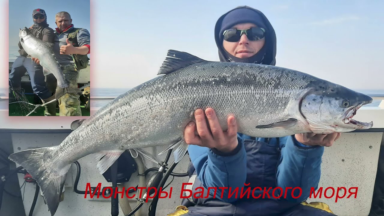 Ловля лосося, этого не может быть...