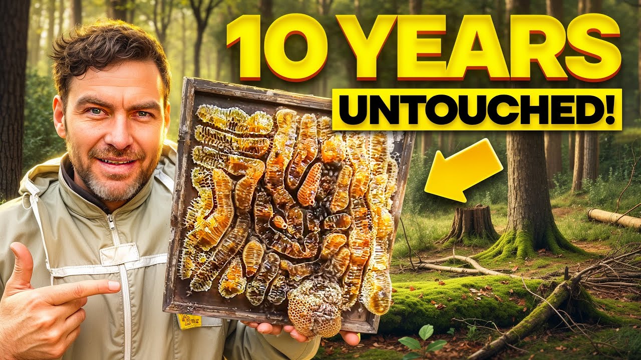 Untouched For Over 10 Years - What's Inside Will SHOCK You!