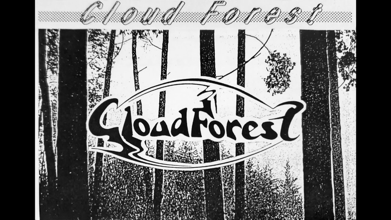 Cloud Forest - 逃亡の果てに
