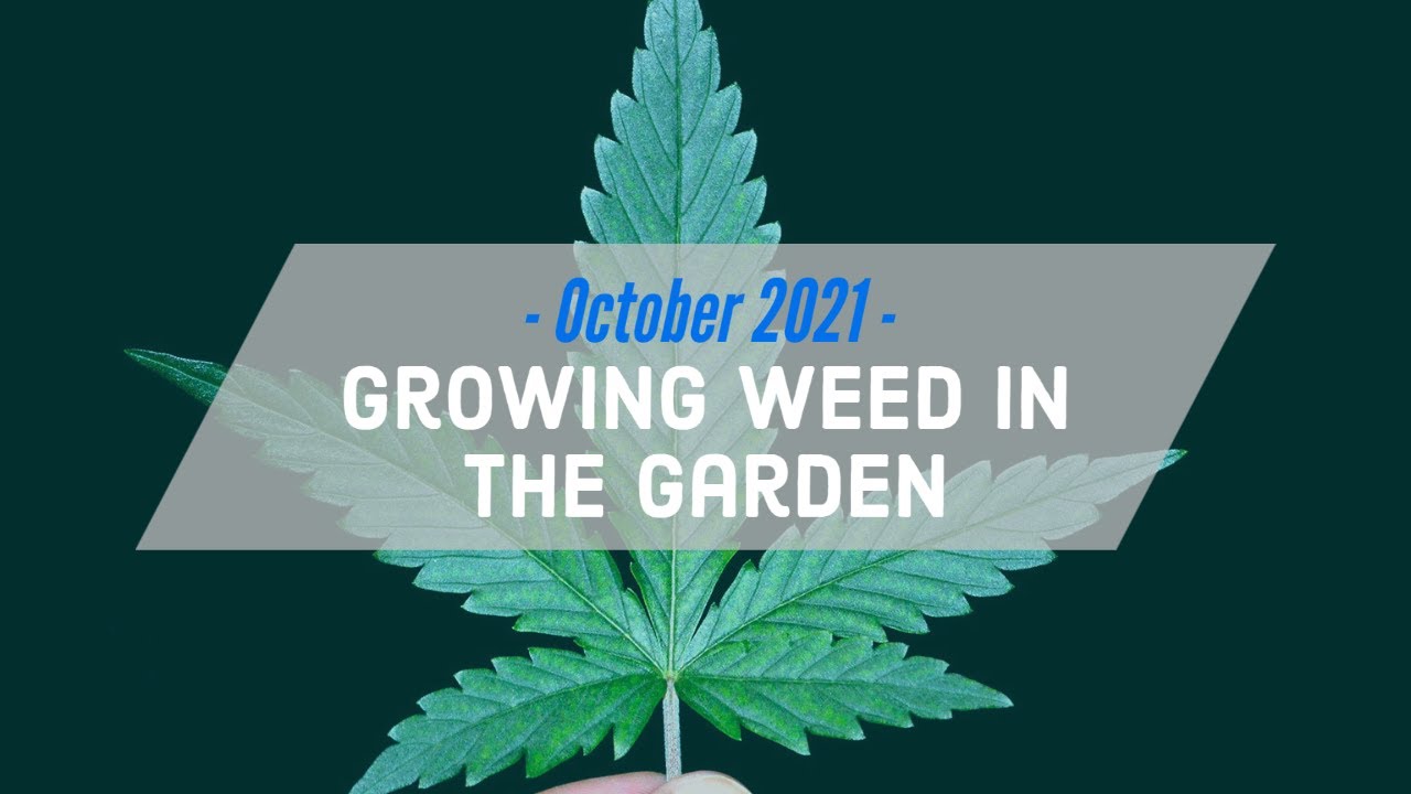 October 2021 - Johanna Silver 