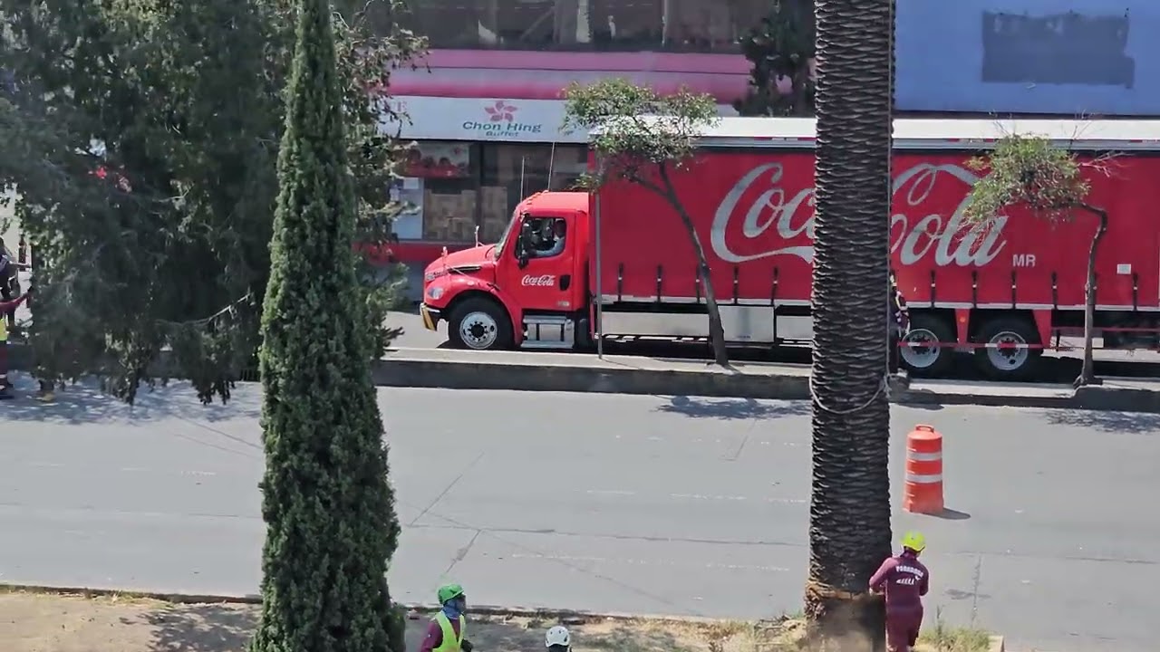 Adiós palmeras 🌴 de Fray Servando, gracias por tanto 🫡 RIP, CDMX 