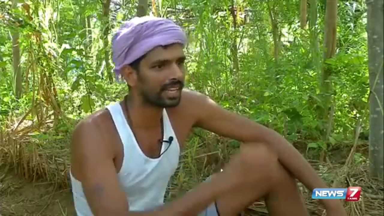 Organic Farming training at ' Vanagam ' : Special story | Tamil Nadu | News7 Tamil