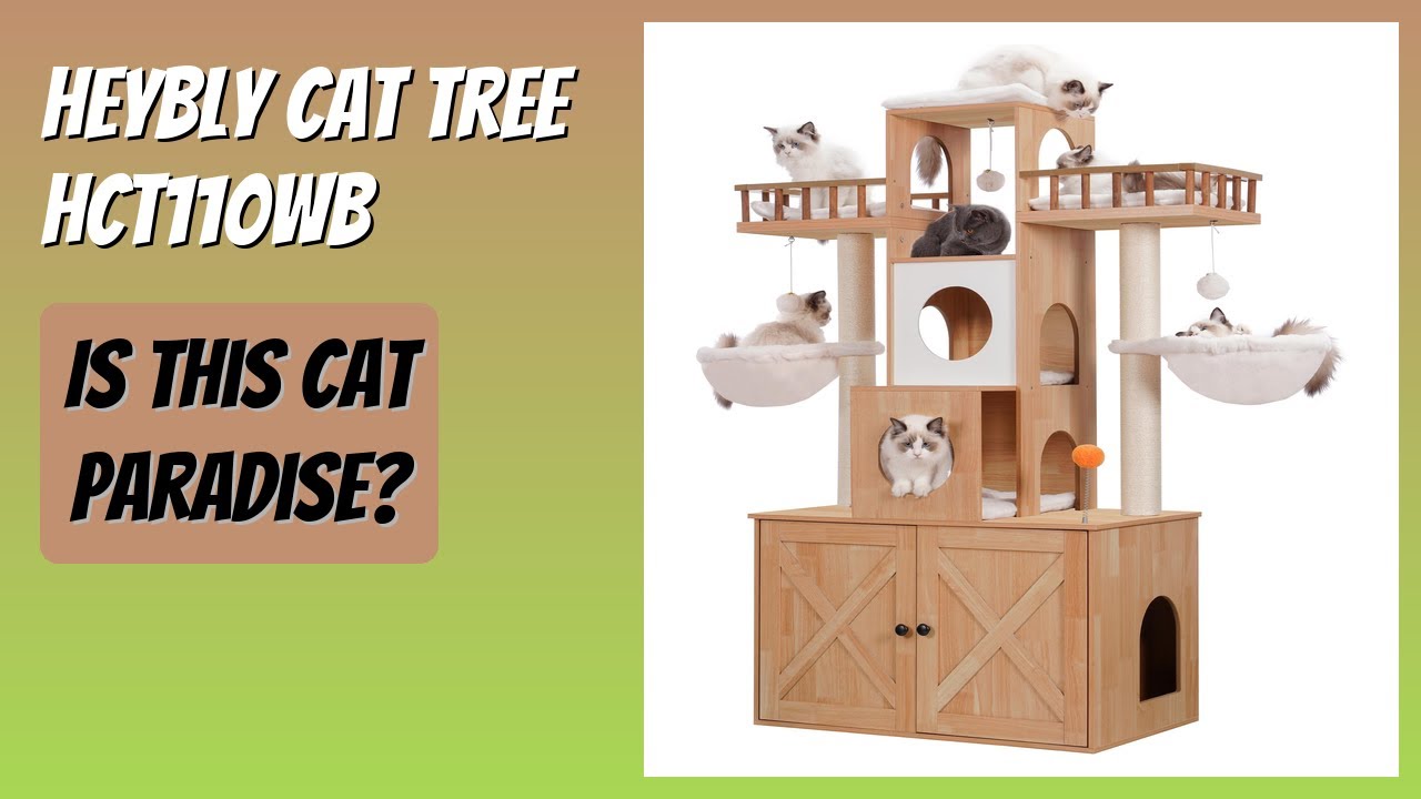 REVIEW (2025): Heybly Cat Tree HCT110WB. Features