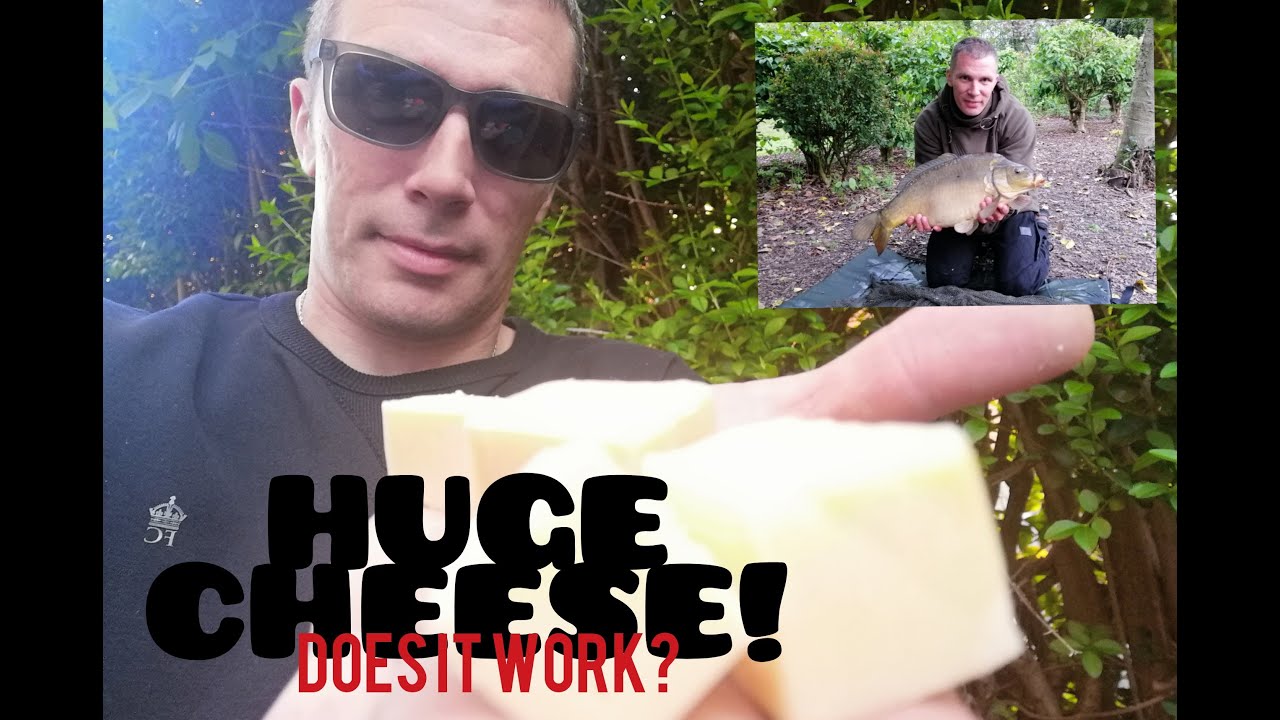 Catching Carp with HUGE CHEESE?? Park lake carp diaries #1