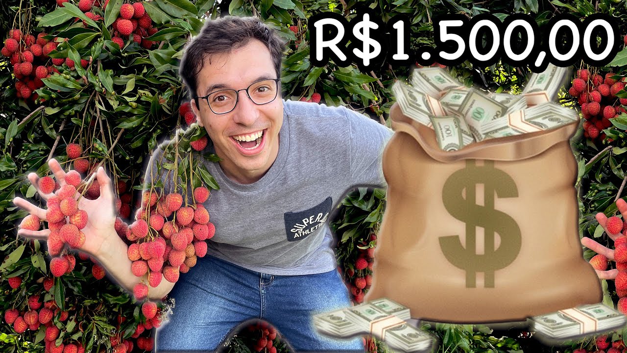 R$1.500,00 de Lichia Em Um Dia! - Vlog