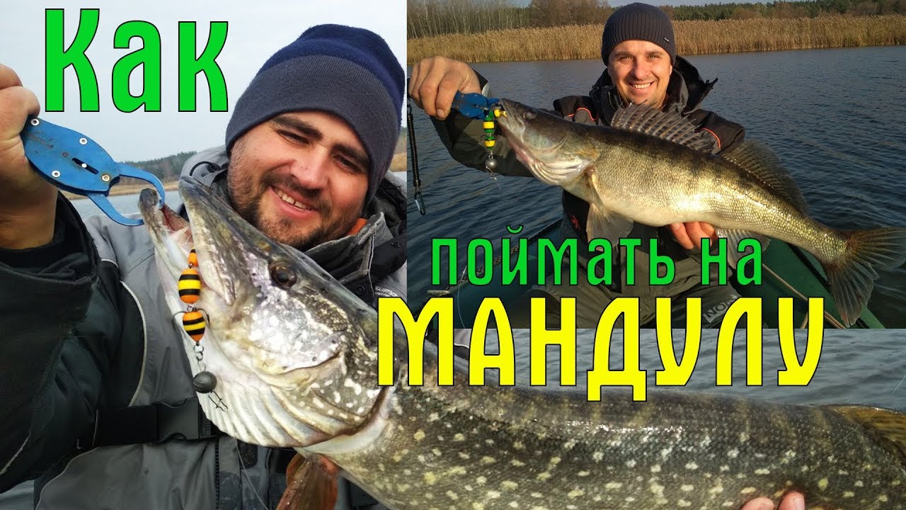 Приманка УБИЙЦА. Ловля судака и щуки. Мандула Profmontazh (Проф Монтаж)