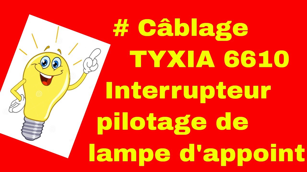 Câblage module domotique Delta Dore Interrupteur pour pilotage de lampe d'appoint