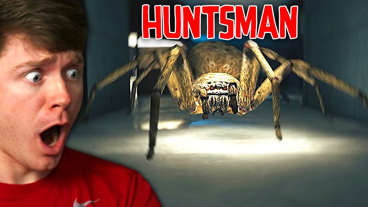 I Was HUNTED by GIANT SPIDERS!? - Huntsman