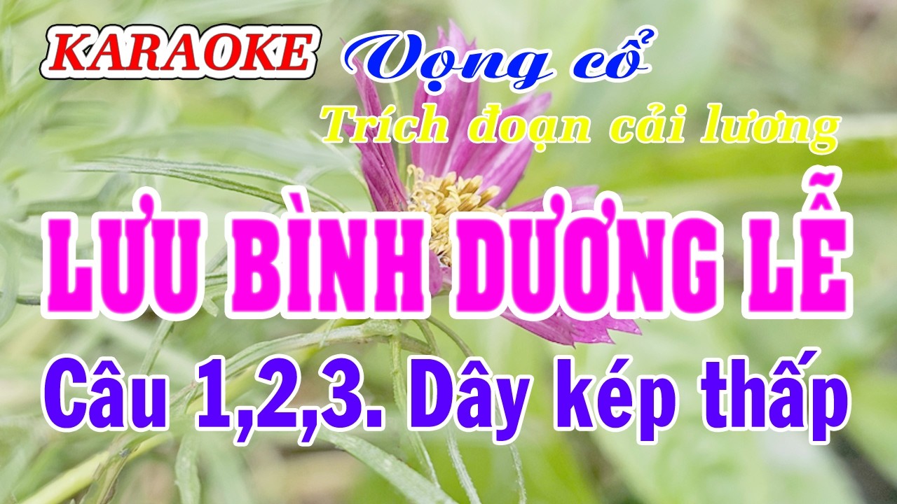 Karaoke _  Trích Đoạn Cải Lương _  Lưu Bình Dương Lễ _  Dây Kép Thấp