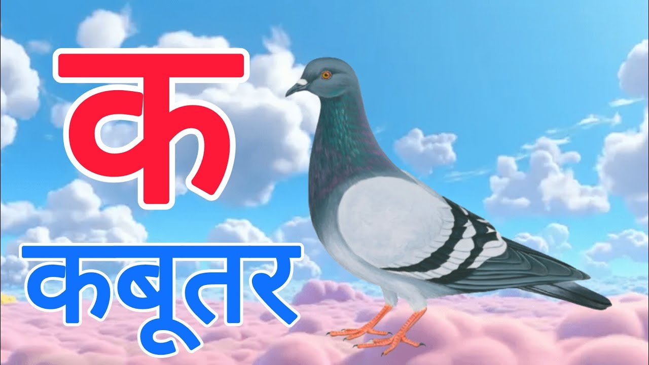 क से कबूतर,अ से अनार a se anaar k se kabutar | Hindi varnmala | ABCD क से कबूतर अ से अनार, for kids