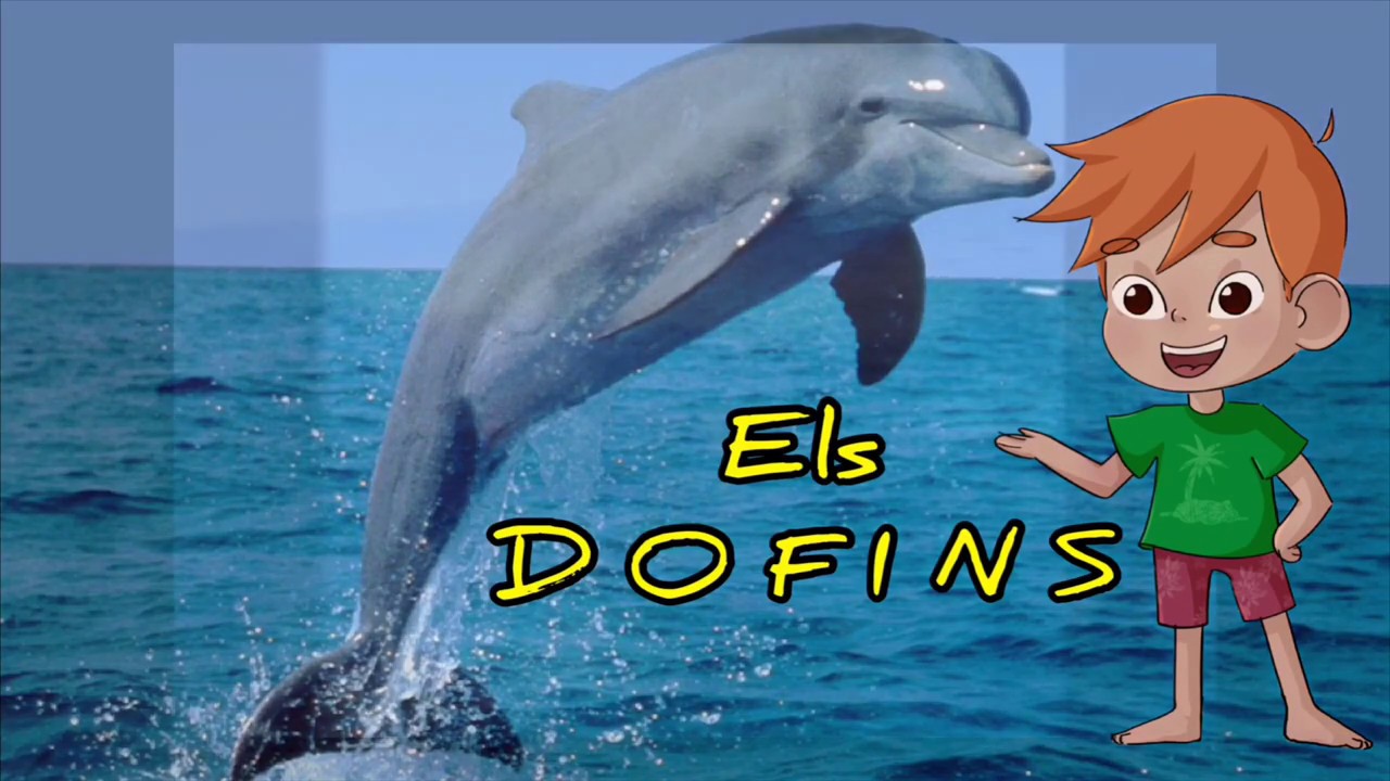 Els dofins | vídeos educatius