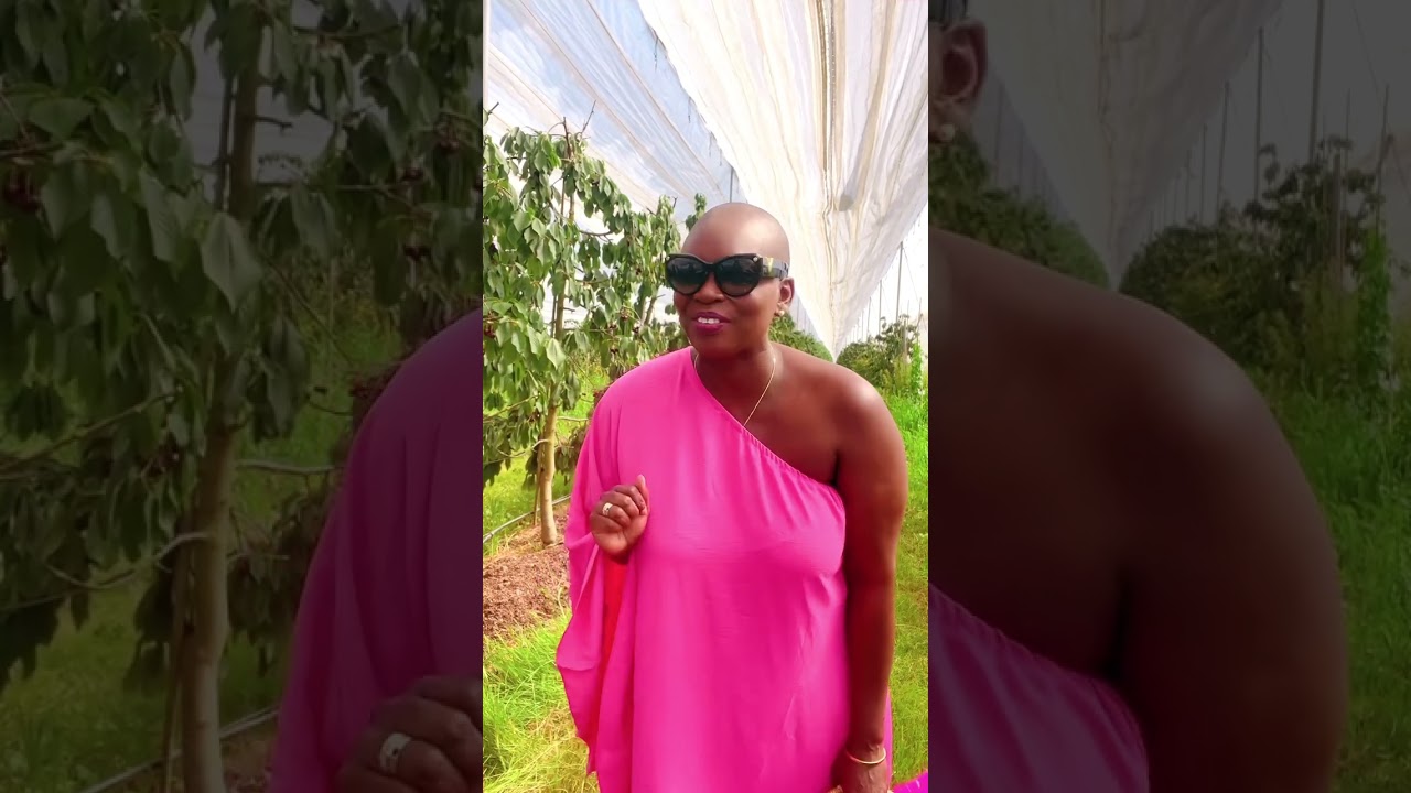 Kersenplukken in Wadenoijen 🍒 🍒