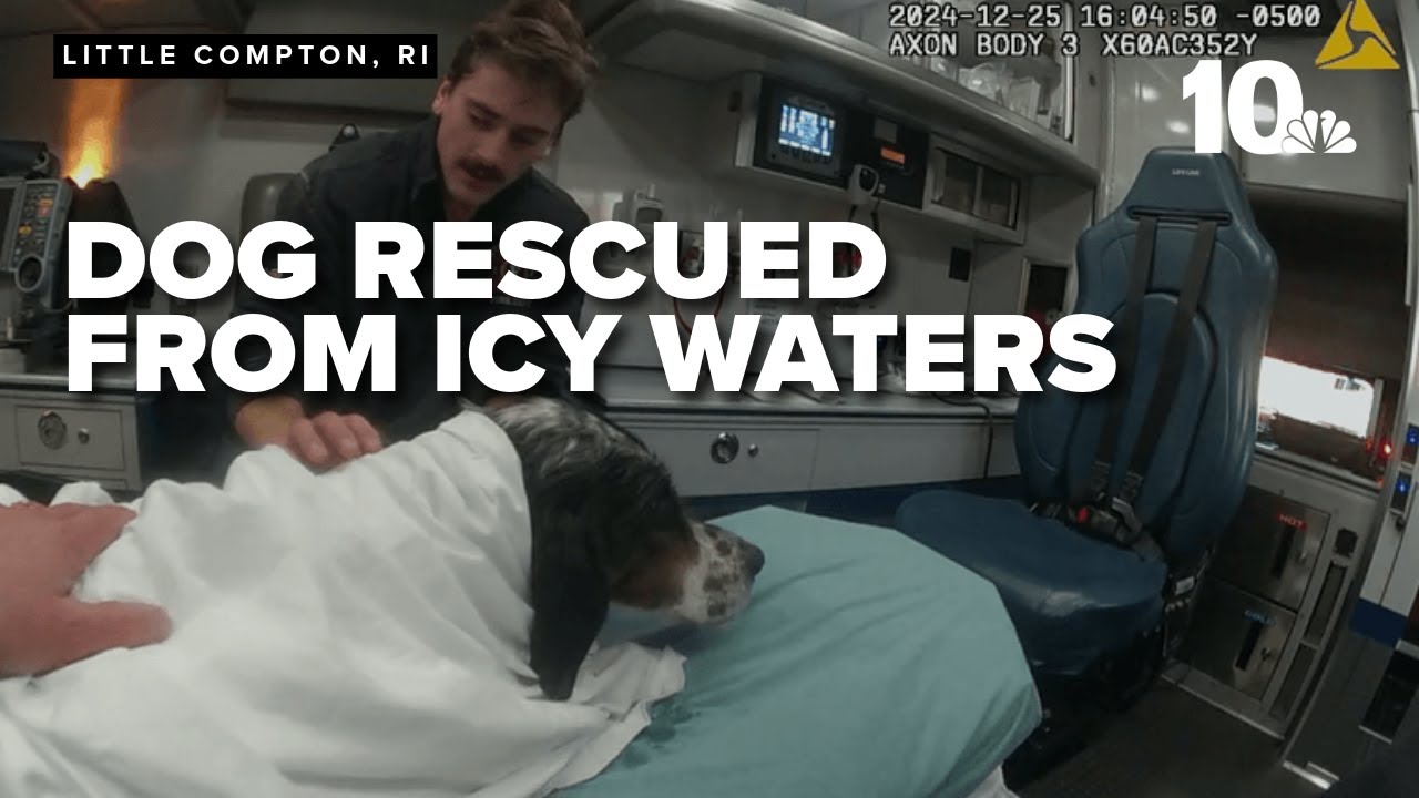Police bodycam video of dog rescued from icy waters on Christmas Day