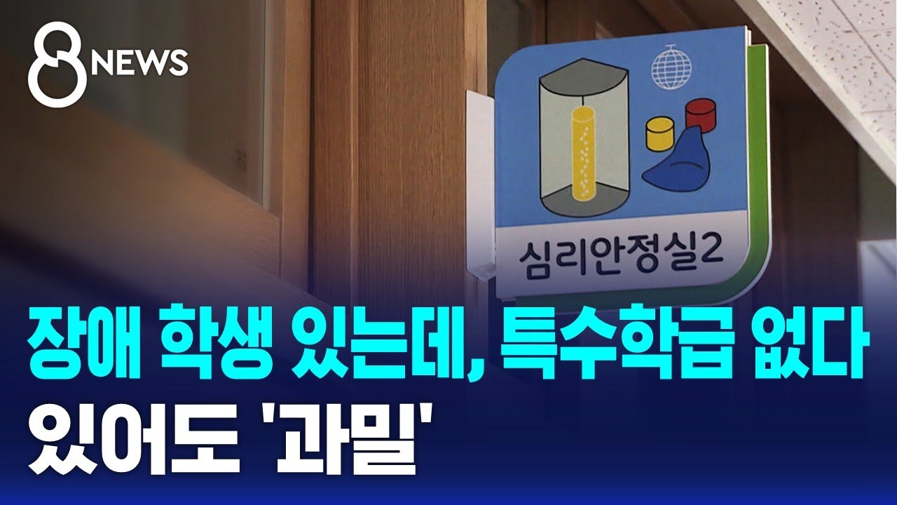 장애 학생 있는데, 특수학급 없다&hellip;있어도 '과밀' / SBS 8뉴스