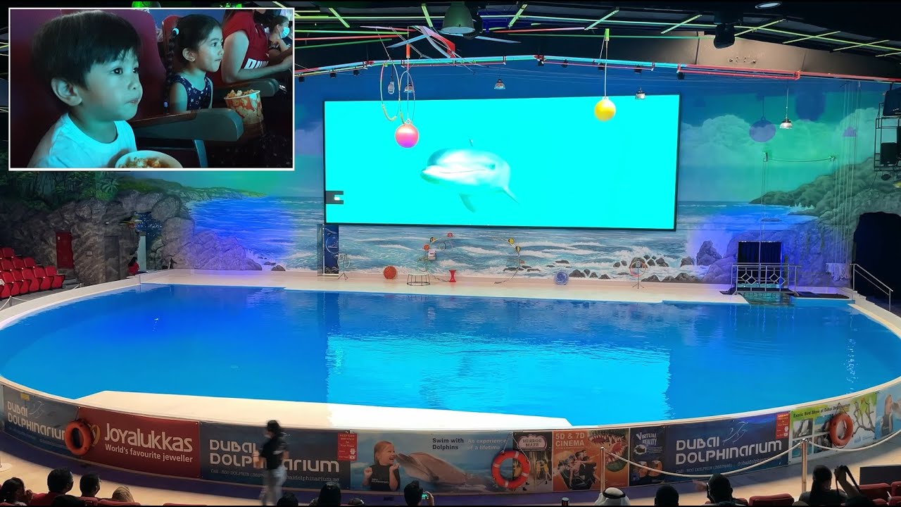 Dubai Dolphinarium - Aubrey and Maynard