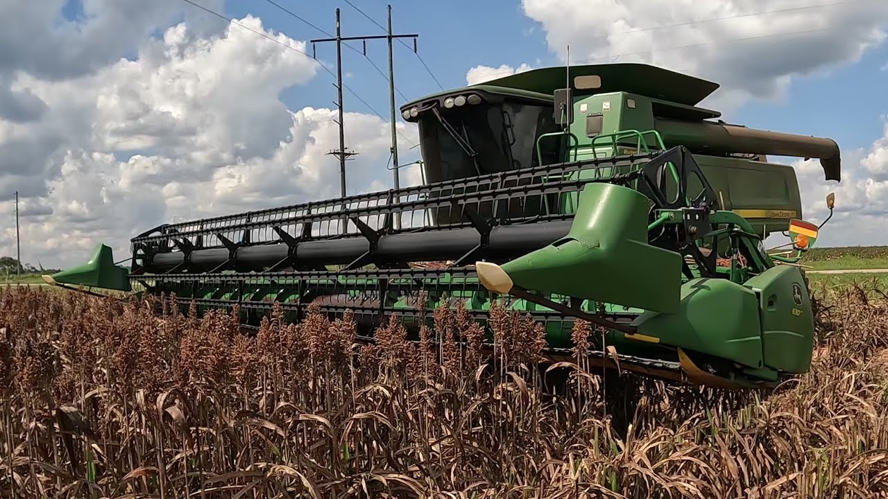No-Till против Max Tillage Sorghum