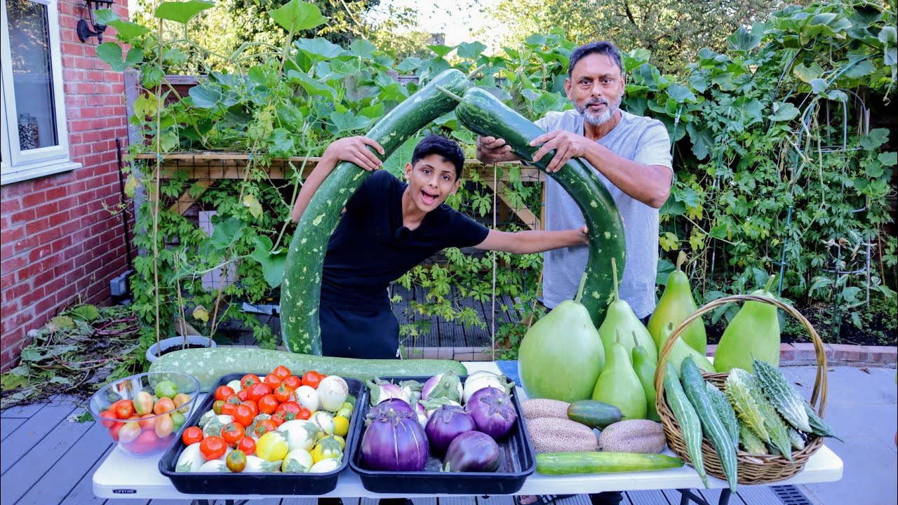 BIG HARVEST! Kitchen Gardening In England | Garden Tour