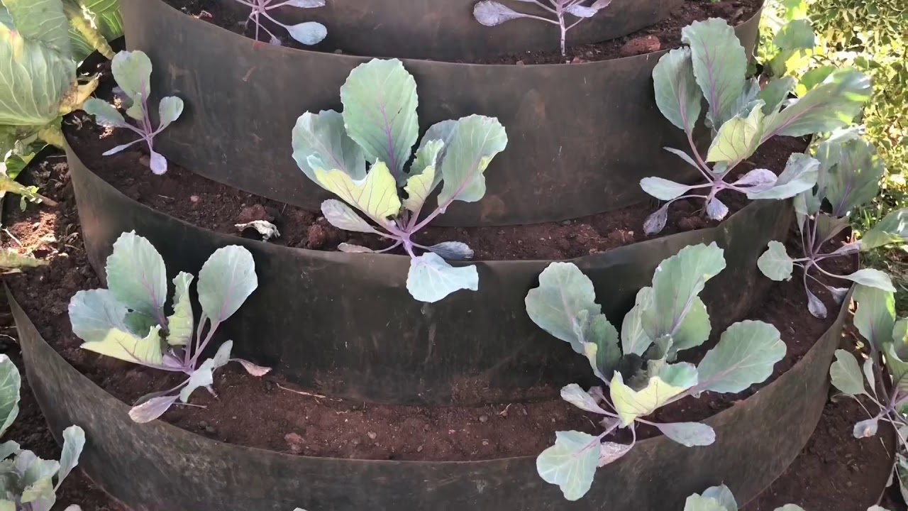 FARMING WONDER: Farm Tour & Urban Farming