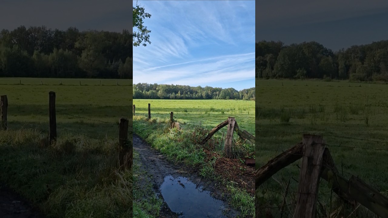 20 Kilometer Wanderung durch das Liether Moor|September 2024