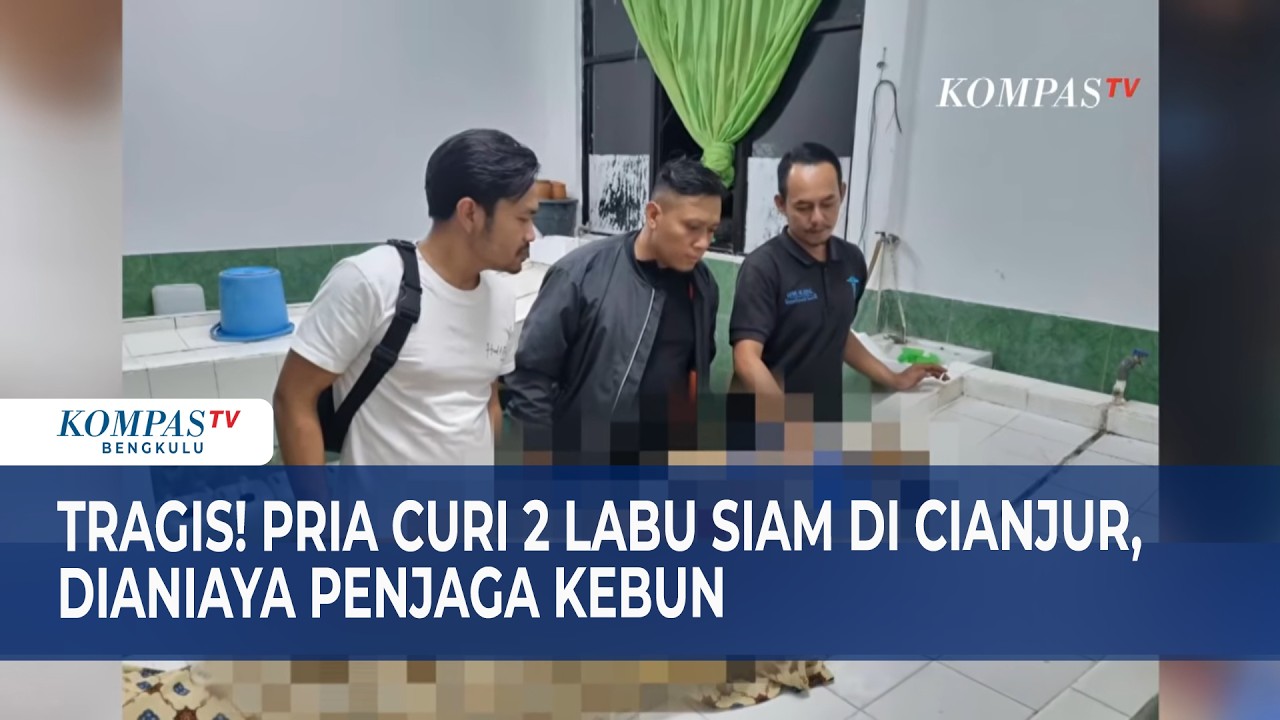 Tragis! Pria Curi 2 Labu Siam di Cianjur, Dianiaya Penjaga Kebun
