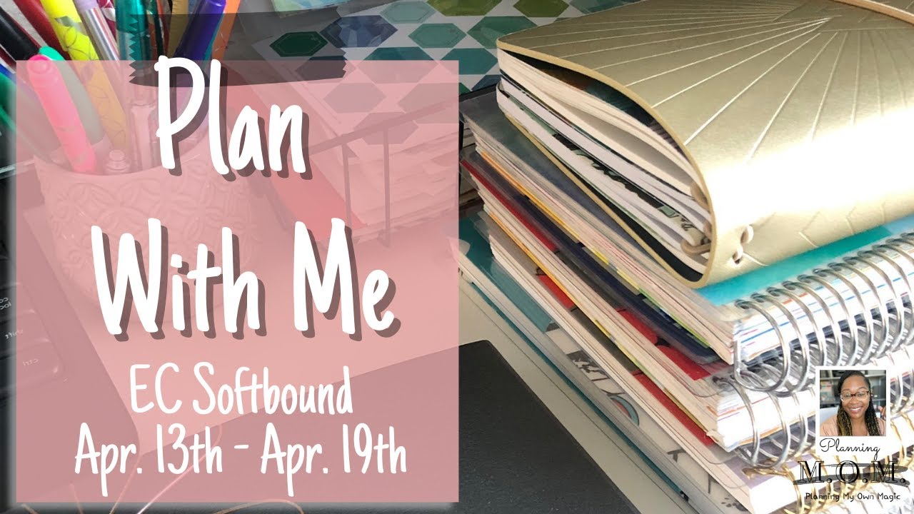 Mini Plan with Me | Erin Condren Softbound Vertical