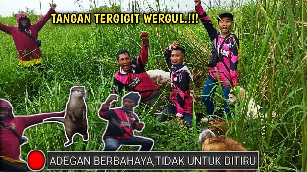 BERBURU KOK PAKAI BH.⁉️WERGUL BERHASIL DI SELAMATKAN HIDUP2...⁉️❗