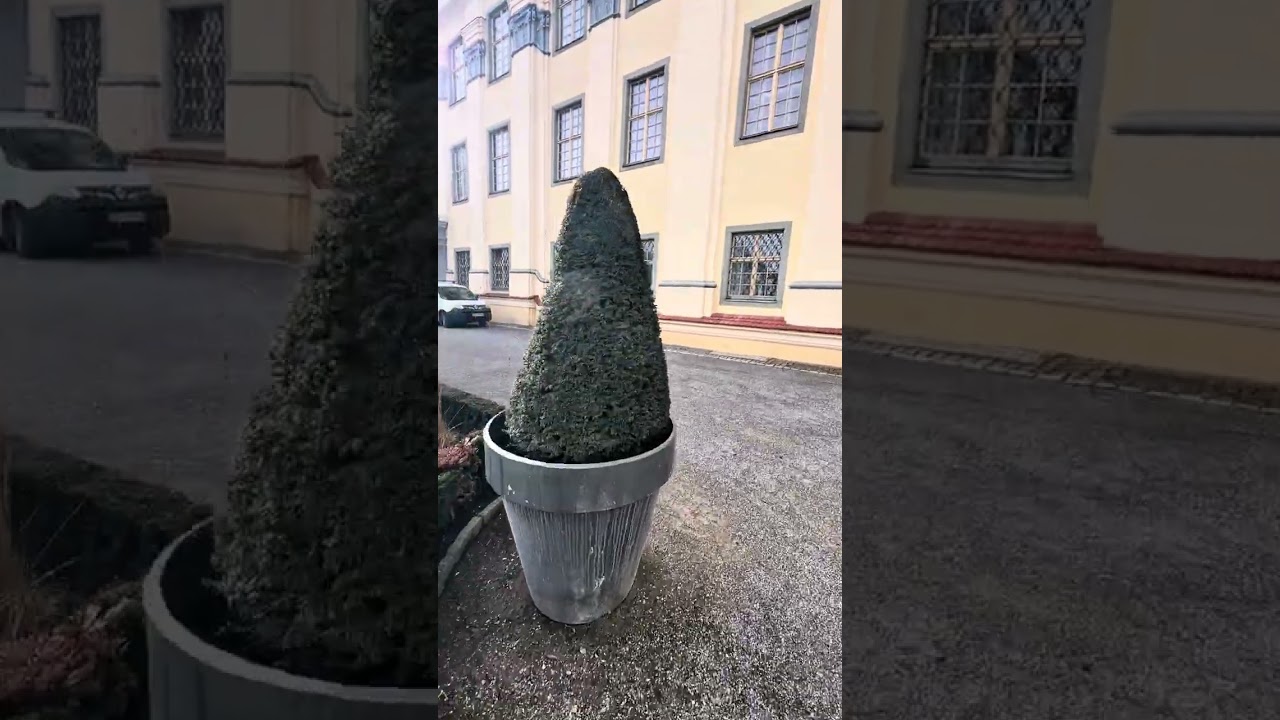 14 февраля 2026 г.