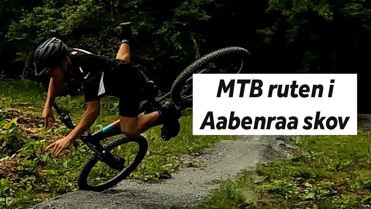Gutterne på mountainbike tur i Aabenraa skov