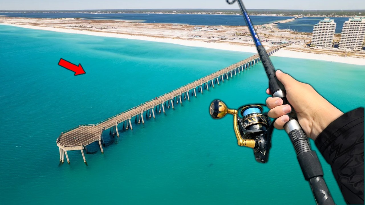 I Fished the BEST Pier in Florida.. (LOADED)