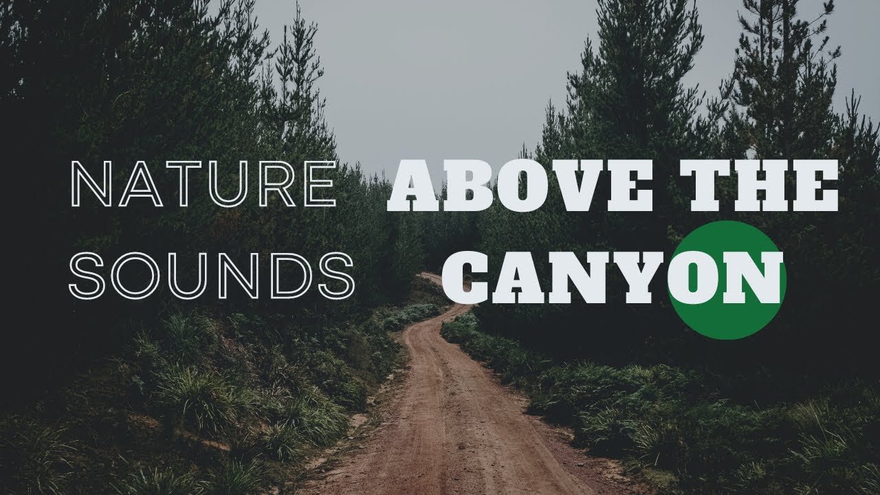 Natural Camping Sounds by the Canyon - Adventure With Peker #21