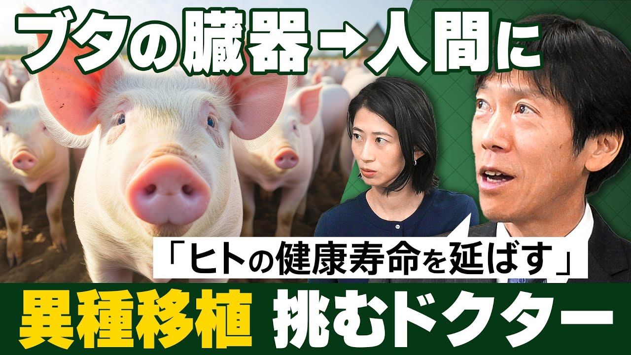 【異種移植】将来、国民病は「がん」→「臓器不全」に？　世界が覇権を争う治療法　聞き手：岡村仁美【Social Shift】